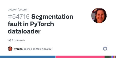 The code is: import os import torch from torch import nn import torch. . Pytorch dataloader segmentation fault
